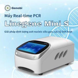 May Real Time Pcr Linegene Mini S Genobi