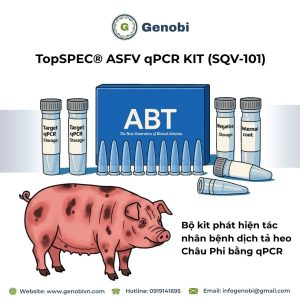 Genobi Topspec Asfv Qpcr Kit Sqv 101