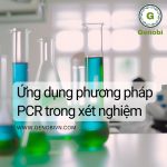 Ứng Dụng Phương Pháp Pcr Trong Xét Nghiệm