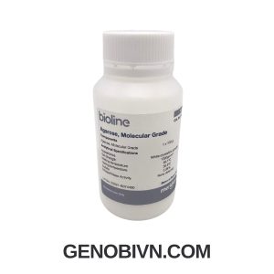 Agarose Bio 41026 Genobi