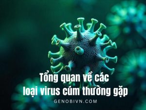 Tong Quan Ve Cac Loai Virus Cum Thuong Gap Genobivn