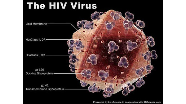 Virus Hiv