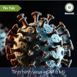 Tinh Hinh Virus H5n1 O My Genobi