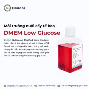 Moi Truong Nuoi Cay Te Bao Low Glucose Elabscience Genobi