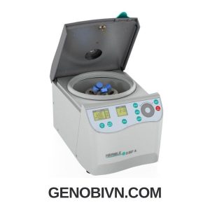May Ly Tam Z 207 A Hermle Genobivn