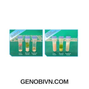 May Dong Nhat Mau Beadblaster 24 Benchmark 3 Genobivn