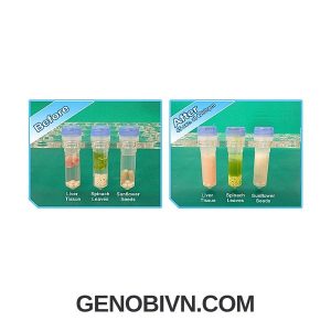 May Dong Nhat Mau Beadbug 3 Benchmark 3 Genobivn