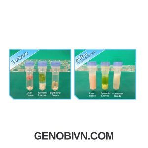 May Dong Nhat Mau Beadbug 6 Benchmark 3 Genobivn