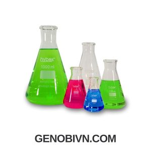 Binh Tam Giac Thuy Tinh 1000ml Benchmark Genobi