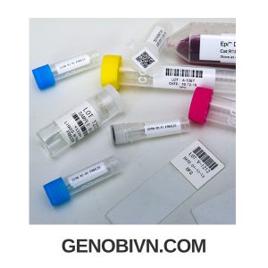 Bang Giay In Nhan Mtc Bio 2 Genobi