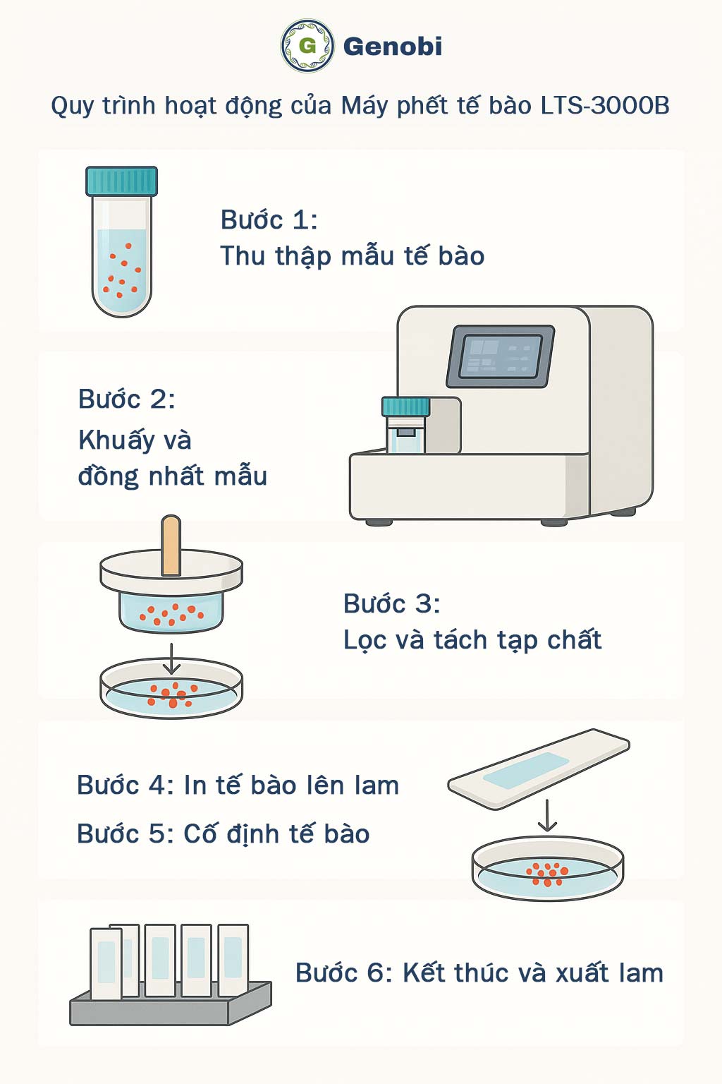 Quy Trinh Hoat Dong Cua May Phet Te Bao Lts 3000b
