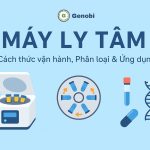 May Ly Tam Cach Thuc Van Hanh Phan Loai Va Ung Dung Genobi