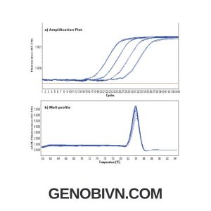 Bo Sensifast Sybr No Rox Bioline Genobi