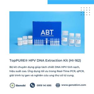 Toppure Hpv Dna Extraction Kit Hi 162 Bo Kit Tach Chiet Dna Hpv Genobi