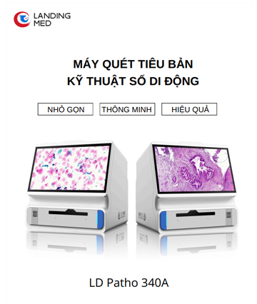 PDF 3