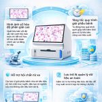 Ld Patho 340a Giai Phap Luu Tru Tieu Ban So Genobi