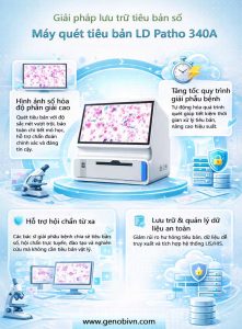 Ld Patho 340a Giai Phap Luu Tru Tieu Ban So Genobi