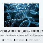 Hyperladder 1kb Bioline Genobi (1)