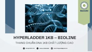 Hyperladder 1kb Bioline Genobi (1)