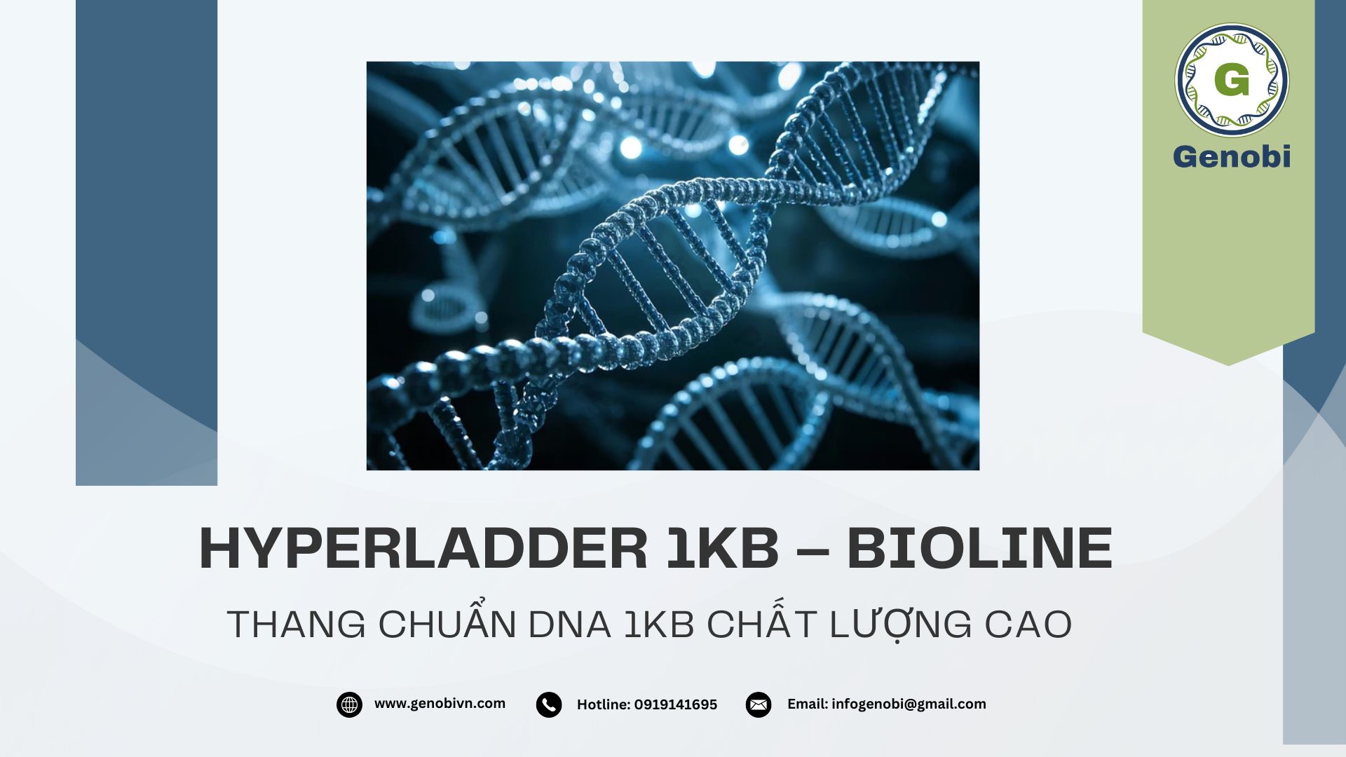 Hyperladder 1kb Bioline Genobi (1)