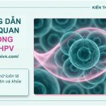 Huong Dan Truc Quan Ve Phong Ngua Hpv Cho Phu Nu 1