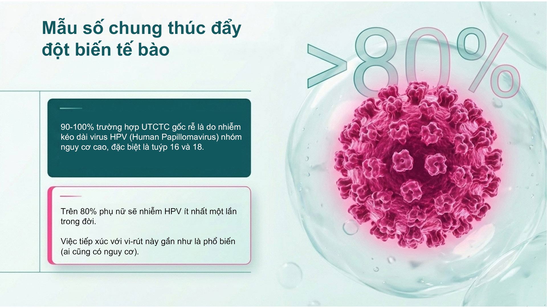 Huong Dan Truc Quan Ve Phong Ngua Hpv Cho Phu Nu 3