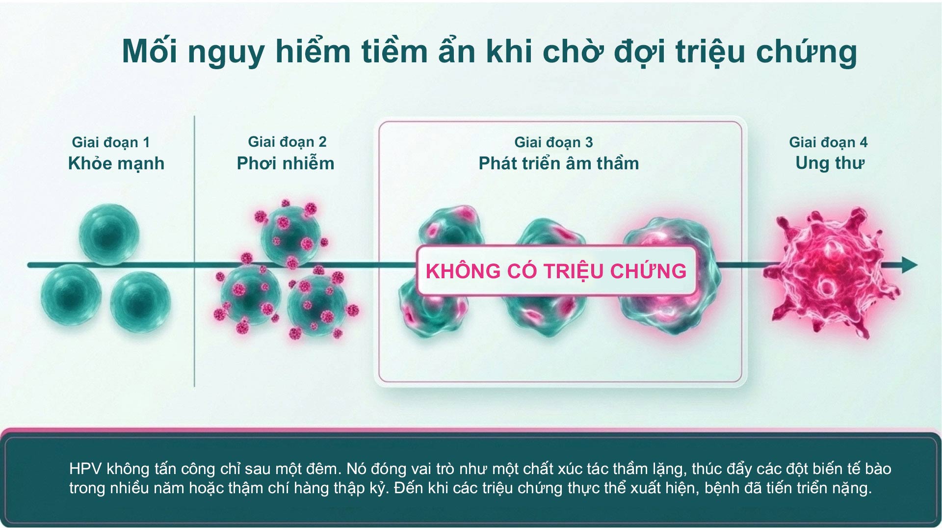 Huong Dan Truc Quan Ve Phong Ngua Hpv Cho Phu Nu 4