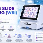 Whole Slide Imaging Wsi La Gi Tai Sao Benh Vien Can Chuyen Doi Genobi