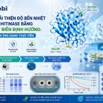 Cai Thien Do Ben Nhiet Cua Enzyme Chitinase Bang Ky Thuat Dot Bien Dinh Huong Genobi