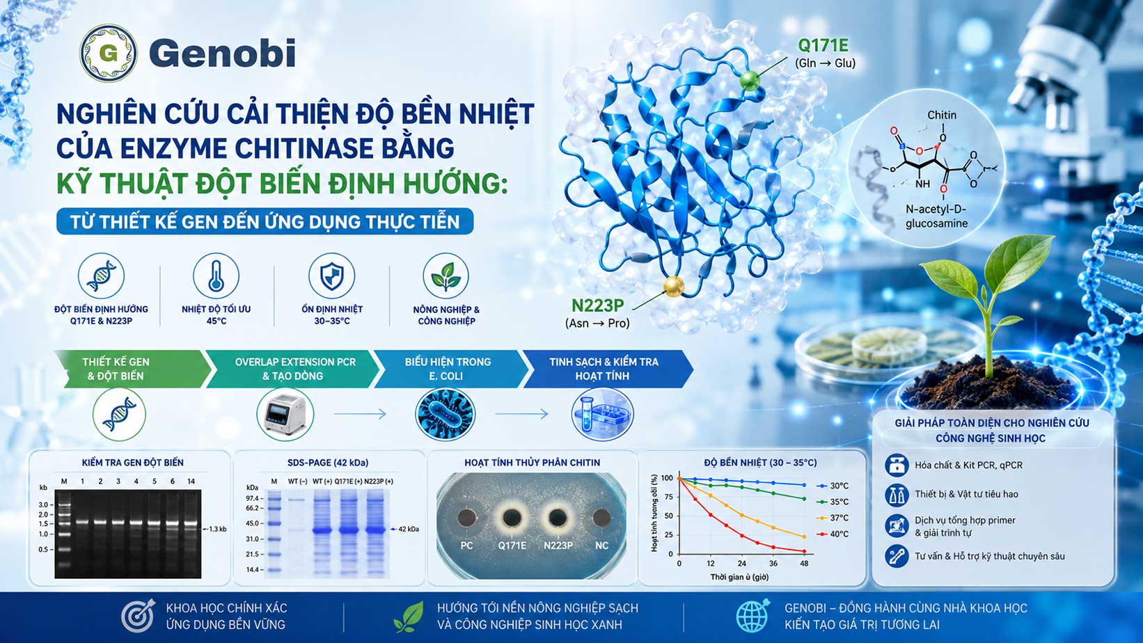 Cải thiện độ bền nhiệt của enzyme chitinase bằng kỹ thuật đột biến định hướng
