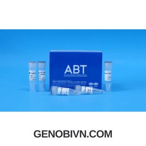 Clonesmart Seamless Dna Cloning Kit (pc 01) Genobi