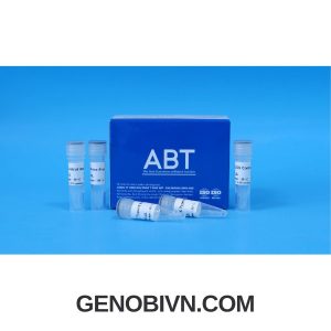 Clonesmart Seamless Dna Cloning Kit (pc 02) Genobi