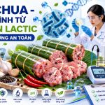 Nem Chua Hanh Trinh Tu Len Men Lactic Den Chat Luong An Toan Genobivn
