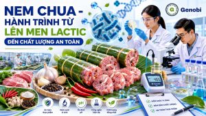 Nem Chua Hanh Trinh Tu Len Men Lactic Den Chat Luong An Toan Genobivn