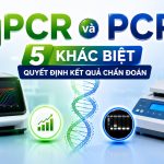 Qpcr Va Pcr 5 Khac Biet Quyet Dinh Ket Qua Chan Doan Genobi