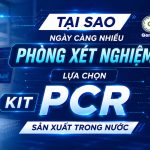 Tai Sao Ngay Cang Nhieu Phong Xet Nghiem Lua Chon Kit Pcr San Xuat Trong Nuoc Genobivn