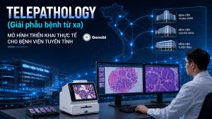 Telepathology Giai Phau Benh Tu Xa Mo Hinh Trien Khai Thuc Te Cho Benh Vien Tuyen Tinh Genobi