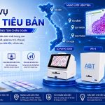 Dich Vu So Hoa Tieu Ban Tai Genobi