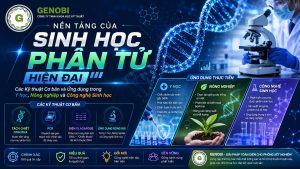 Nen Tang Cua Sinh Hoc Phan Tu Hien Dai Cac Ky Thuat Co Ban Va Ung Dung Genobi