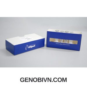Primer Probe Premixed Oligox Abt Genobivncom