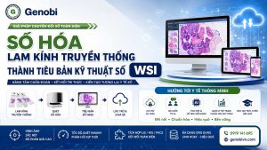 So Hoa Lam Kinh Truyen Thong Thanh Tieu Ban Ky Thuat So Wsi Genobi