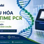 Toi Uu Hoa Real Time Pcr Tu Thiet Ke Moi Den Quy Trinh Van Hanh Chuan Genobi