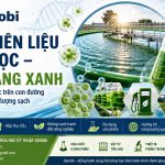 Tao Nhien Lieu Sinh Hoc Tiem Nang Xanh Va Nhung Thach Thuc Genobi
