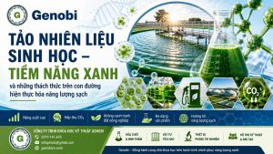Tao Nhien Lieu Sinh Hoc Tiem Nang Xanh Va Nhung Thach Thuc Genobi