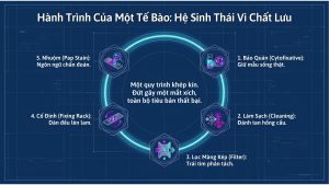 Infographic Mot Bo Lbc Hoan Chinh Can Gi De Tieu Ban Khong Bi Tra Lai (2)
