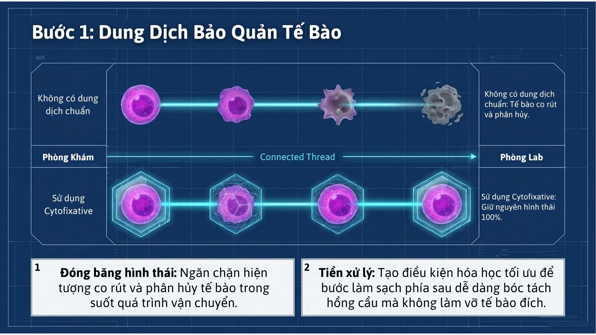 Infographic Mot Bo Lbc Hoan Chinh Can Gi De Tieu Ban Khong Bi Tra Lai (3)
