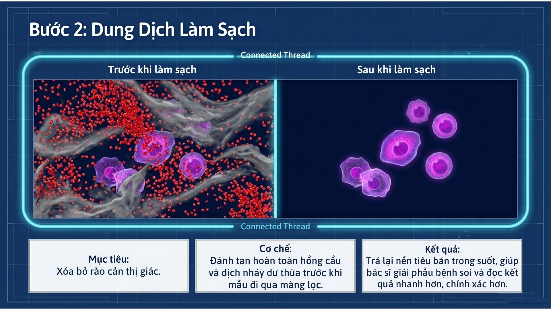 Infographic Mot Bo Lbc Hoan Chinh Can Gi De Tieu Ban Khong Bi Tra Lai (4)