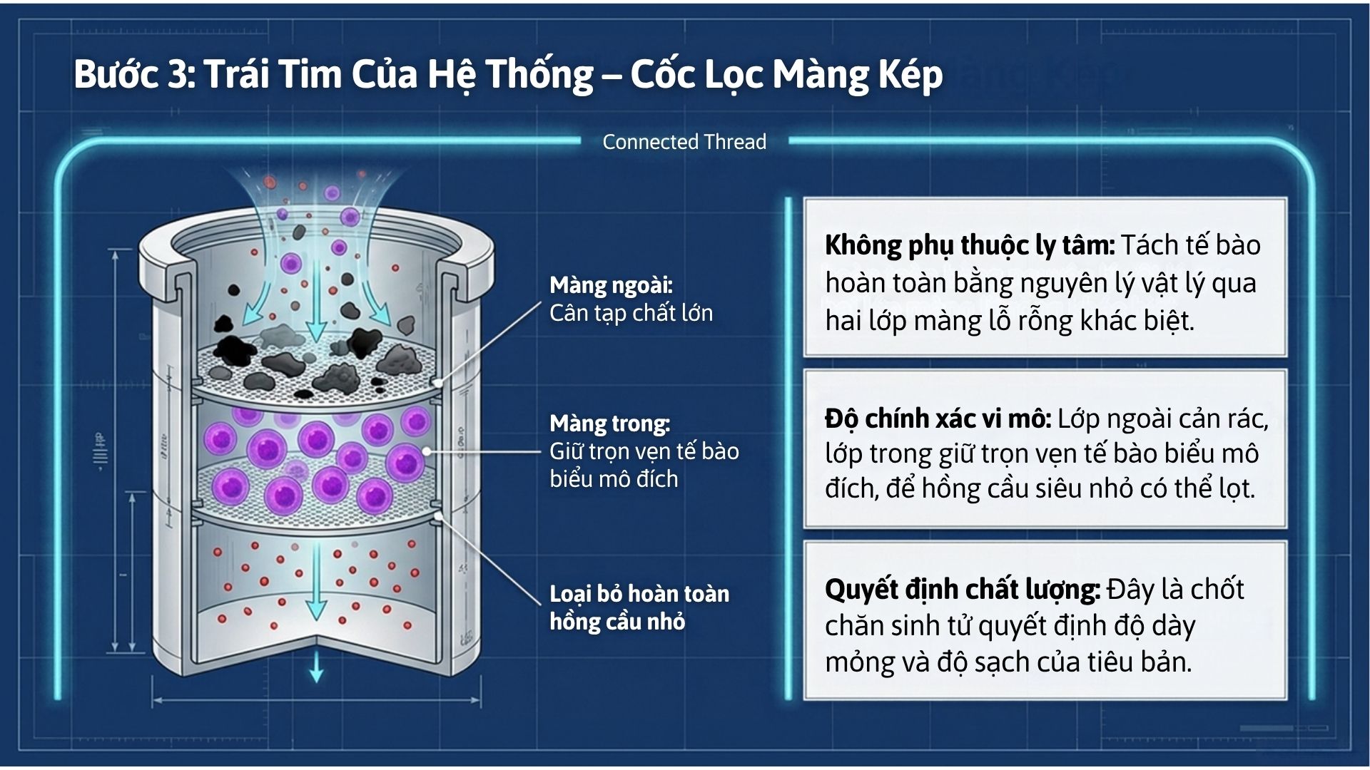 Infographic Mot Bo Lbc Hoan Chinh Can Gi De Tieu Ban Khong Bi Tra Lai (5)