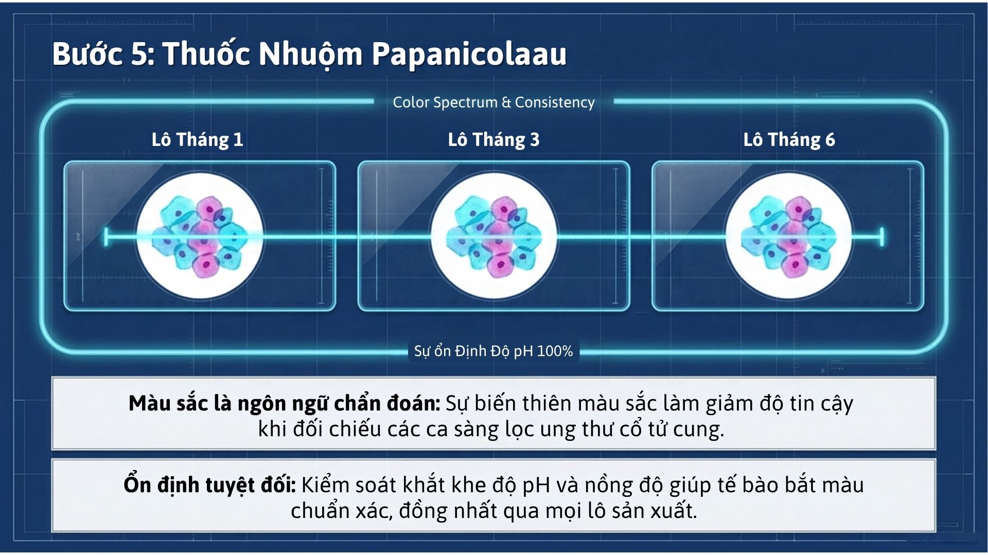 Infographic Mot Bo Lbc Hoan Chinh Can Gi De Tieu Ban Khong Bi Tra Lai (7)