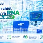 Kit Tach Chiet Dna Rna Thuc Vat Cho Pcr Qpcr Genobi